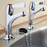 Kitchen Sink Tap Pairs