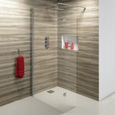 Delphi Wetroom Screens