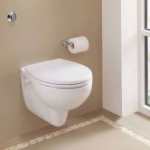 Wall Hung Toilets